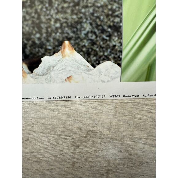 Karla West “Rushed Ashore” Fine Art Print  19” Square - Picture 4 of 8